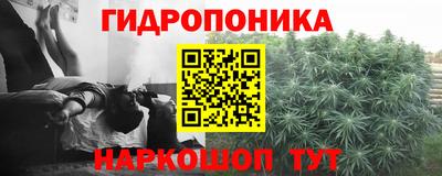 spice Бийск